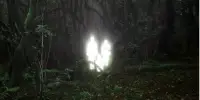ইবলিস কেন অভিশপ্ত হলো?